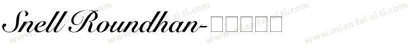 Snell Roundhan字体转换